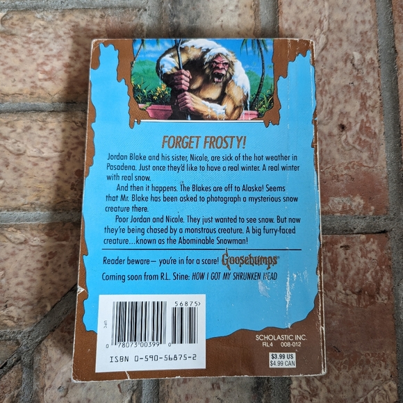 Goosebumps Book Lot - R.L. Stine - scholastic - retro - good used condition - Picture 9 of 15